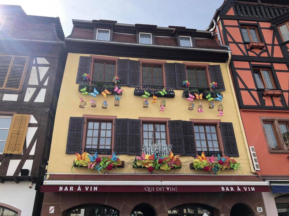 Les Appartements D'Alicia Obernai Exterior photo
